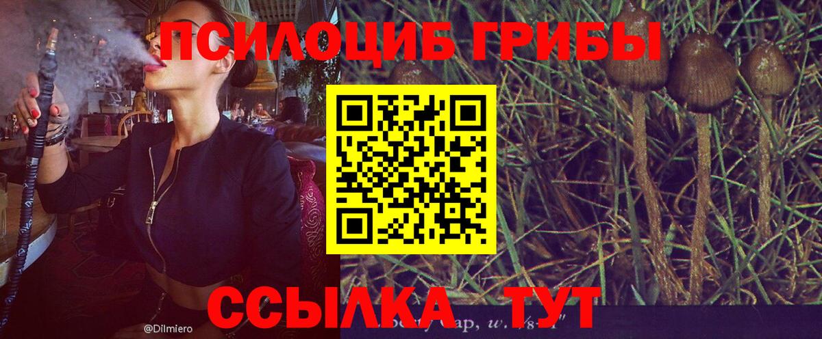 закладка  Псилоцибиновые грибы мицелий  Вход с VPN  Сатка  Псилоцибиновые грибы Magic Shrooms 