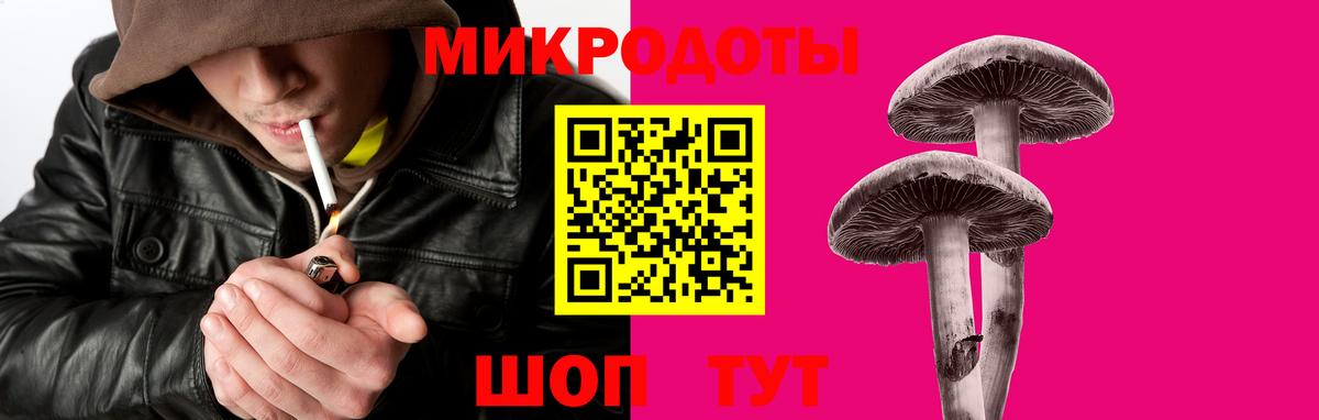 Псилоцибиновые грибы Cubensis Сатка